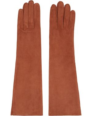 Lanvin Long Slim Suede Gloves - Brown