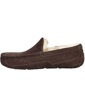 UGG Australia Ascot Moccasi "Ascot" 1101110 Esp" - Brown