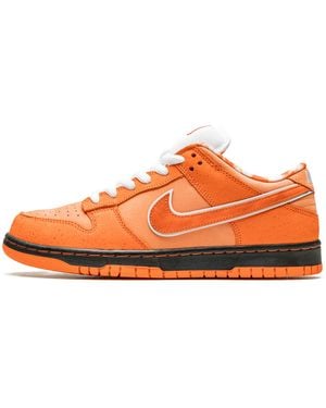 Nike Sb Dunk Low "Concepts - Multicolour
