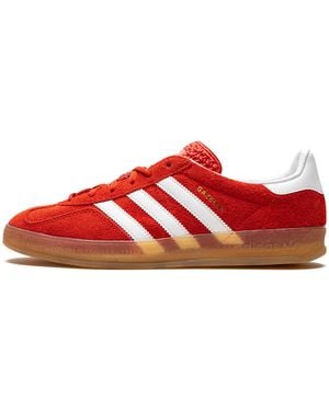 adidas Gazelle Indoor "Bold" Hq8718" - Red