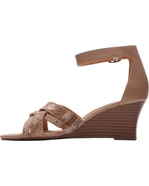 Clarks Cielo Charm Heels "Praline Leather" 26171525" - Brown
