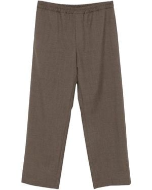 The Row Ari Wool Wide-Leg Trousers "Driftwood" 1206 W4599 Dfw" - Black