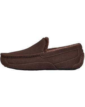 UGG Ascot Slipper "Dusted Cocoa" 1101110 Ddc" - Brown