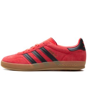 adidas Gazelle Indoor "Lucid" Jr6304" - Red