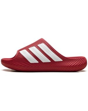 adidas Purechill Slides "Better Scarlet" Ki0063" - Red