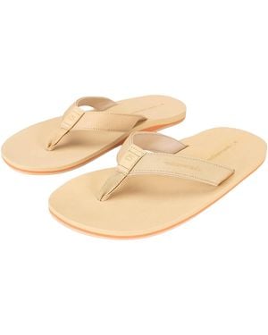 Clear Weather Ultralighter "Chanterelle" Cwp001002" - Black