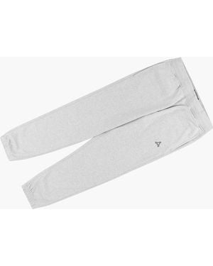 Palace Sofar Jogger - Gray