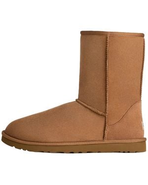 UGG Classic Short Boot "Chestnut" 5800 Che" - Brown