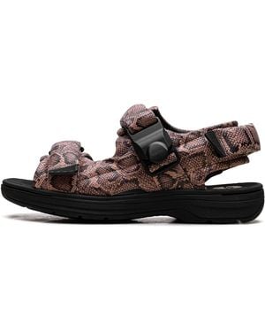 Clarks Snake-Print Recycled-Polyester "Martine Rose - Black