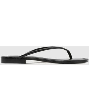 St. Agni Fine Flip Flop - Black