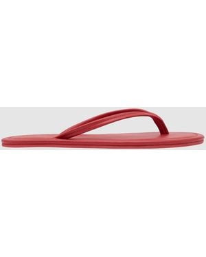 St. Agni Thong Detail Slide - Multicolour