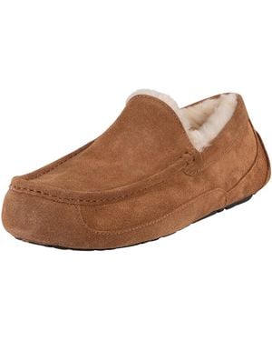 UGG Ascot Slipper - Brown