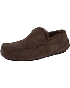 UGG Ascot Suede Slippers - Brown