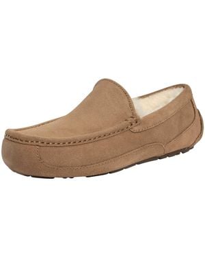 UGG Ascot Slippers - Brown