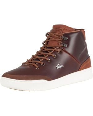Lacoste Tan/brown Explorateur Classic 318 1 Cam Trainers