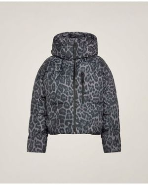 Stella McCartney Adidas By Printed Padded Winter Jacket - Grey