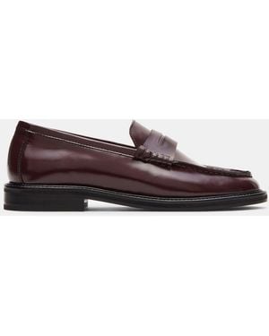 Steve Madden Madison - Brown