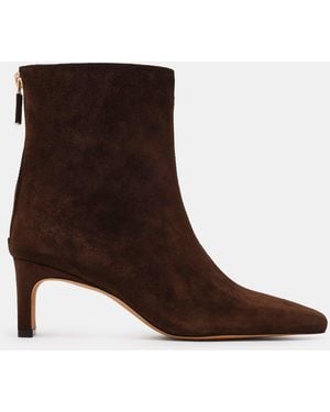 Steve Madden Jamiyah - Brown