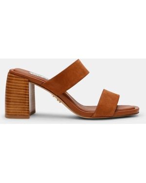 Steve Madden Liliann - Brown