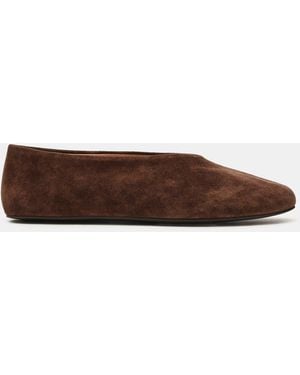 Steve Madden Cyntra - Brown