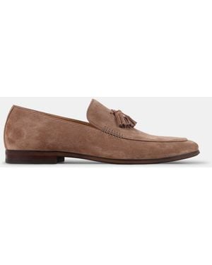 Steve Madden Orlo - Brown