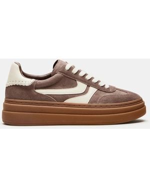 Steve Madden Dodge - Brown