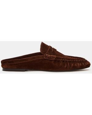 Steve Madden Rafe - Brown