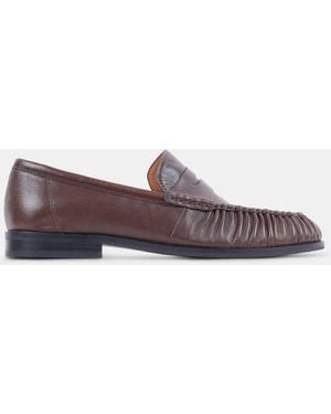 Steve Madden Quincey - Brown