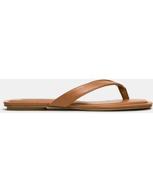 Steve Madden Trella - Brown