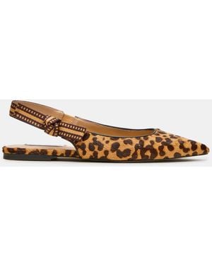 Steve Madden Olsen-a - Brown
