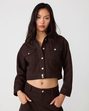 Steve Madden Dove Jacket - Brown