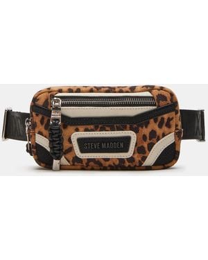 Steve Madden Bmadridd - Brown