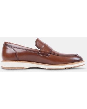 Steve Madden Leonis - Brown