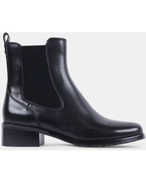 Steve Madden Gayline - Black