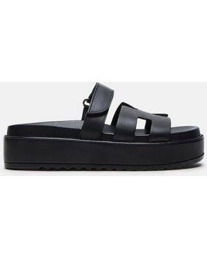 Steve Madden Bigmayven - Black