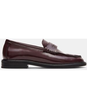 Steve Madden Madison - Brown