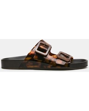 Steve Madden Abott - Brown