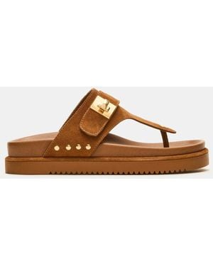 Steve Madden Thona - Brown