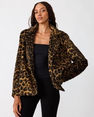 Steve Madden Madley Jacket - Black