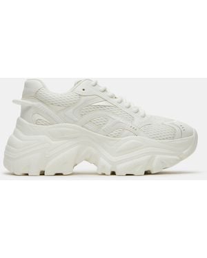 Steve Madden Raftus - White