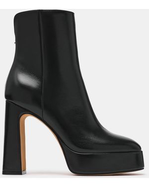 Steve Madden Lochlan Booties - Black