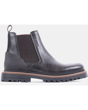 Steve Madden Calypso Boots - Purple