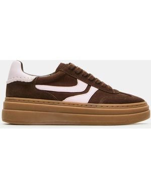 Steve Madden Dodge - Brown