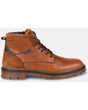 Steve Madden Wystan - Brown