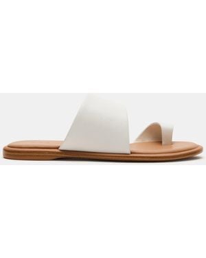 Steve Madden Zanii - White