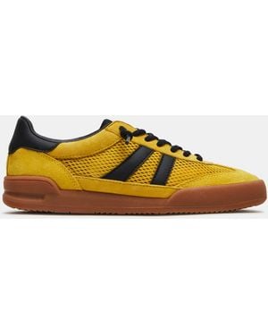 Steve Madden Verdict - Yellow