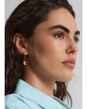 & Other Stories Tiger's Eye Pendant Earrings - Multicolour
