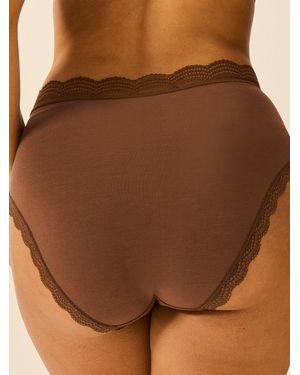 Stripe & Stare High Rise Knicker - Brown