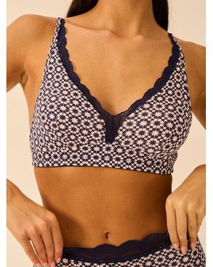 Stripe & Stare Lace Plunge Bra - Brown
