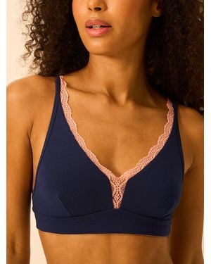 Stripe & Stare Lace Plunge Bra - Blue